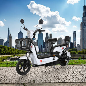 <span class=keywords><strong>จักรยาน</strong></span>ไฟฟ้าที่คุ้มค่าที่สุดในโลก พร้อมมอเตอร์ไร้แปรงถ่าน 350W 500W - Product Image 3