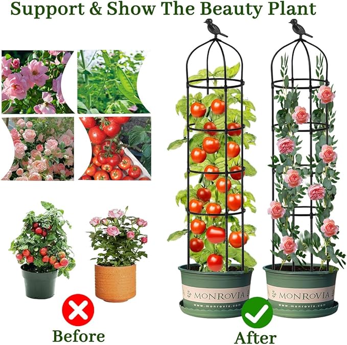 Metall Garten rahmen Spalier fr Kletter pflanzen Indoor Topfpflanzen Bogen  Gitters ttzen fr Pflanzen| Alibaba.com