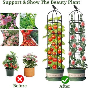 Treillis de jardin en métal pour plantes grimpantes Plantes d'intérieur en pot <span class=keywords><strong>Arche</strong></span> Treillis Supports pour plantes - Product Image 3