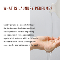 Logo personnalisé 9 parfums respectueux de l'environnement 300ml parfum de lessive liquide parfum de lavage longue durée par le fabricant