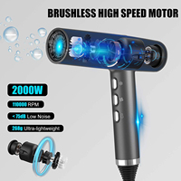 Sèche-cheveux de voyage portable 1650W-1850W Moteur CC Ions négatifs Buse concentrateur Option de logo personnalisé pour une utilisation en extérieur et à l'hôtel