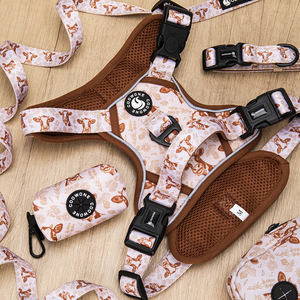 Tali kekang anjing mewah dengan tas kotoran Dispenser personalisasi genggang <span class=keywords><strong>Tartan</strong></span> anjing memimpin dengan perlengkapan anjing kotak-kotak saling silang - Product Image 3