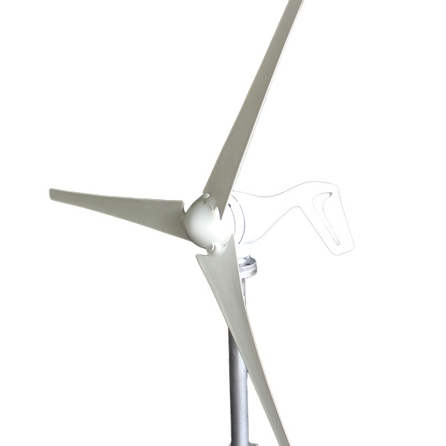 Famous Landmark Wind Turbine Micro Wind Mill 100w 200w 300w Wind Generator Turbine