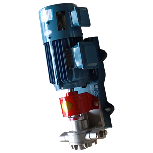Bomba de Diafragma de <span class=keywords><strong>Marca</strong></span> Yaquan a Precio de Fábrica, Bomba de Engranajes de Alta Presión para la Industria Automotriz, Petrolera y de Tratamiento de Aguas Residuales - Product Image 3