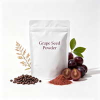 Extrait de pépins de raisin en poudre de qualité alimentaire, directement de l'usine, pour infusions