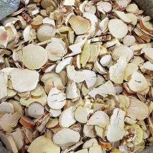 WU ZHI, MAO, TAO, venta al por mayor, hierbas individuales, Ficus Hirta, hierbas chinas secas, Radix <span class=keywords><strong>FICI</strong></span> simplicissima, raíz - Product Image 3