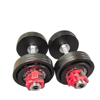 Ensemble d'haltères en fonte réglables de 20kg à 80kg avec changeur de poids variable pour usage domestique