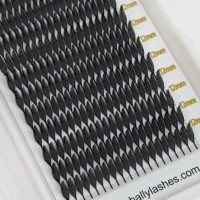 Extensions de cils pré-faits en éventail, noir intense, style Anime Spire, nouveau design, en cachemire doux et effet plume, courbures C CC D B J, pour extensions de cils effet Comic, vente en gros