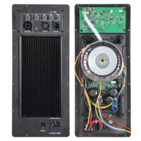 Module d'amplificateur de puissance actif professionnel Accuracy Pro Audio 15APN 350W
