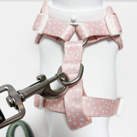 Harnais pour chien rose imprimé personnalisé – Ensemble tendance rembourré, respirant, durable, réglable, à fermeture rapide, motif léopard