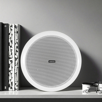 Metal malzeme alıcıları ile 6.5 inç kapalı ses tavan hoparlörler 6W Woofer ev amplifikatör