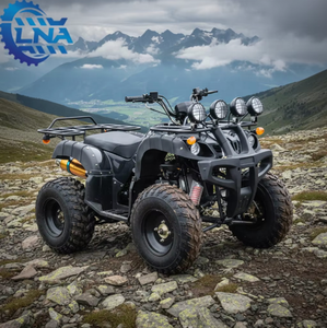 Accesorios para cuatrimotos LNA <span class=keywords><strong>de</strong></span> 250cc listos para enviar, incluye piezas <span class=keywords><strong>de</strong></span> repuesto para flotas <span class=keywords><strong>de</strong></span> <span class=keywords><strong>alquiler</strong></span> - Product Image 6