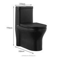Système WC sans pulvérisateur, deux bidets, une cuvette blanche, chasse d'eau dissimulée, électronique, couvercle de siège de toilette hygiénique