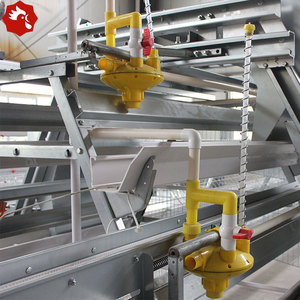 Sistema <span class=keywords><strong>de</strong></span> Jaulas en A para Gallinas Ponedoras con Capacidad para 10000 Aves, para una Gestión Automatizada - Product Image 5