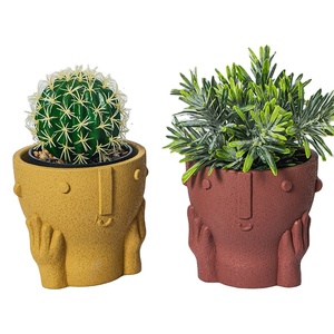 Wholesale nordic desktop face pots for plants cement small succulent indoor planter pots