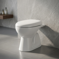 WC carré en céramique de style anglo-indien, à chasse directe, avec siphon en S, de type indien, sanitaires