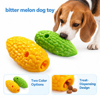 Jouets interactifs pour chiens en forme de melon amer, jouets à mâcher et à grincer en TPR pour chiens, en forme de courge amère