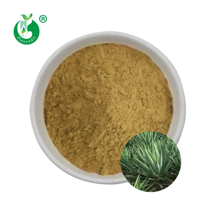 Pincredit Wholesale Best Price Natural Feed Rw Yucca Yucconin Yucca Leaf Extract Saponin Powder