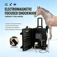 Appareil de thérapie par ondes de choc focalisées pour chevaux, 1-10 Hz réglable, pour la récupération articulaire équine, OEM ODM personnalisé