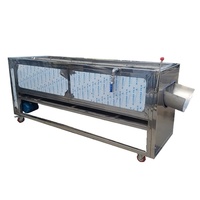 RVS-wasmachine motor voor het reinigen van gedroogde dadels en noten, capaciteit 2 ton/uur, multifunctioneel voor fruit en groenten