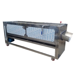 Macchina per il lavaggio di datteri secchi in acciaio inossidabile / Attrezzatura per la pulizia di datteri essiccati per la lavorazione di frutta e verdura - Product Image 2