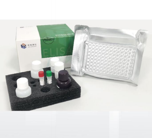 Kit de teste para diarreia epidêmica porcina LGA ELISA A necessidade de um ambiente de baixa demanda para facilitar a detecção - Product Image 5