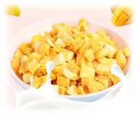Tranches de mangue lyophilisées saveur originale, best-seller, collation de fruits saine et croustillante en vrac