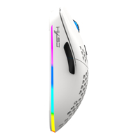 HXSJ T66 blanc 3 modes 650mAh rechargeable 6 boutons programmable souris de jeu lumineuse RVB sans fil en nid d'abeille pour ordinateur portable