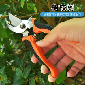 Sécateur de jardin en acier inoxydable, cisaille bypass pour branches de 20-30 mm, outil de coupe à structure papillon, poignée jaune - Product Image 2