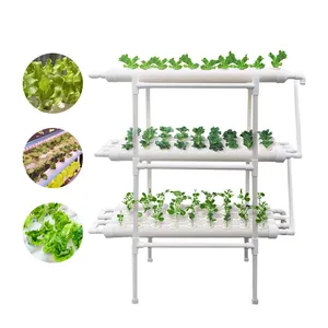 Hot sale Greenhouse Home Planting Smart Garden Indoor Automatic Hydroponic System