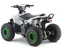 Quad tout-terrain Wanyang 110cc, moteur 4 temps, 2 roues motrices, acier, puissance portable pour enfants, transmission automatique par chaîne