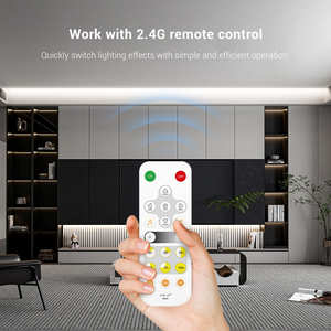 Sp541e 1CH PWM màu duy nhất IOT Led điều khiển Alexa Google ứng dụng nhà RF điều khiển từ xa đơn sắc Led Light Strip DC 5-24V - Product Image 5