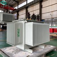 Transformateur de puissance triphasé immergé dans l'huile de 315 kVA