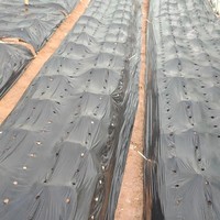 Groothandel landbouw mulchfolie grondbedekking anti-onkruid meerdere maten voor boomgaard fruitboomteelt veld gewas onkruidbestrijding