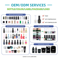 ORCHID FOX 2026 Nouvelle Collection Tendance : Kit de Nail Art 200 Couleurs, Vernis Gel Solide Multicolore, Gel UV Non Toxique OEM