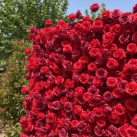 W1003 Panneau mural 3D en fleurs artificielles de roses en soie faites à la main, réalistes, 8x8 pieds, pour mariage, Noël, Saint-Valentin, Pâques