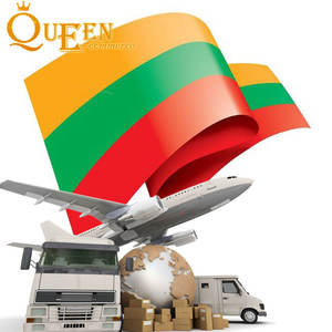 Aziende di Logistica che Offrono Spedizioni Porta a Porta DDU DDP verso la Lituania UE con Servizio di Agente di Spedizione di Prima Classe - Product Image 4