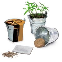 Coffret cadeau écologique avec jardinière en bambou Carte de voeux Fête des mères Cadeau d'anniversaire de pendaison de crémaillère