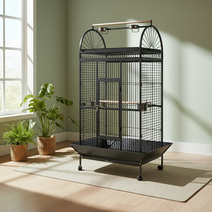 <span class=keywords><strong>กรง</strong></span><span class=keywords><strong>นก</strong></span><span class=keywords><strong>ขนาด</strong></span><span class=keywords><strong>กลาง</strong></span> ลายสัตว์ สำหรับเลี้ยง<span class=keywords><strong>นก</strong></span>ในร่มและ<span class=keywords><strong>กลาง</strong></span>แจ้ง  วัสดุเป็นมิตรกับสิ่งแวดล้อม  กระจกด้านหน้า  สำหรับ<span class=keywords><strong>นก</strong></span>เลิฟเบิร์ด - Product Image 2