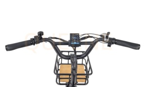 QUEENE/Bicicleta Eléctrica Familiar con Doble Motor y Doble Batería 2000 48V40Ah Todoterreno de Largo Alcance con Neumáticos Anchos y Cuadro de Aluminio - Product Image 1
