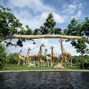 Escultura de Jirafa de Fibra de Vidrio de Tamaño Real, Estatua de Animal de Safari de Resina para Proyectos Turísticos - Product Image 2
