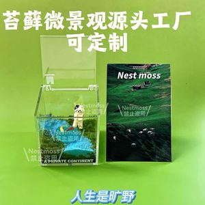 Moss micro-landscape indoor terrarium desktop <b>mini</b> moss bonsai small green plant panda ornament office gift - Product Image 2