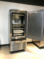 Congélateur à choc commercial 15 plateaux à température unique, refroidissement par ventilateur, dégivrage automatique, congélateur vertical pour congélation rapide de la viande