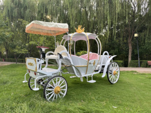 Charrettes de mariage en forme de citrouille personnalisées en usine - Product Image 1