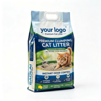 Sac à litière pour chat imprimé sur mesure, résistant, capacité 10 kg, emballage en argile bentonite, pochette à fond plat avec poignée en plastique