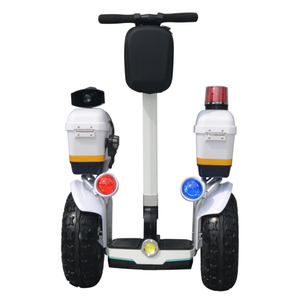 Angelol NEW Long Range สกู๊ตเตอร์ล้อโต 20 นิ้ว รุ่น Chariot แบบมีหลังคา พร้อมราคาโรงงานโดยตรง - Product Image 1