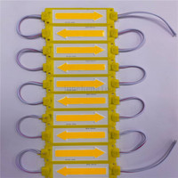 Modules SMD DC 12V 24V, lumière extérieure à haute luminosité, 1.5W, 3 LED 8218, Injection, Module LED, boîte publicitaire