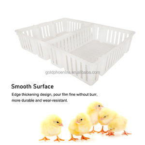 YYC Geflügel träger Huhn Transport boxen Wachtel taube Küken Transport kisten - Product Image 4