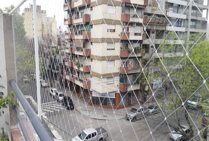 transparente