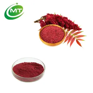 High Pure Quality Factory Direct Wholesale Price Affordable Iso Kosher Halal Organic Certificate Sumac Berry Powder